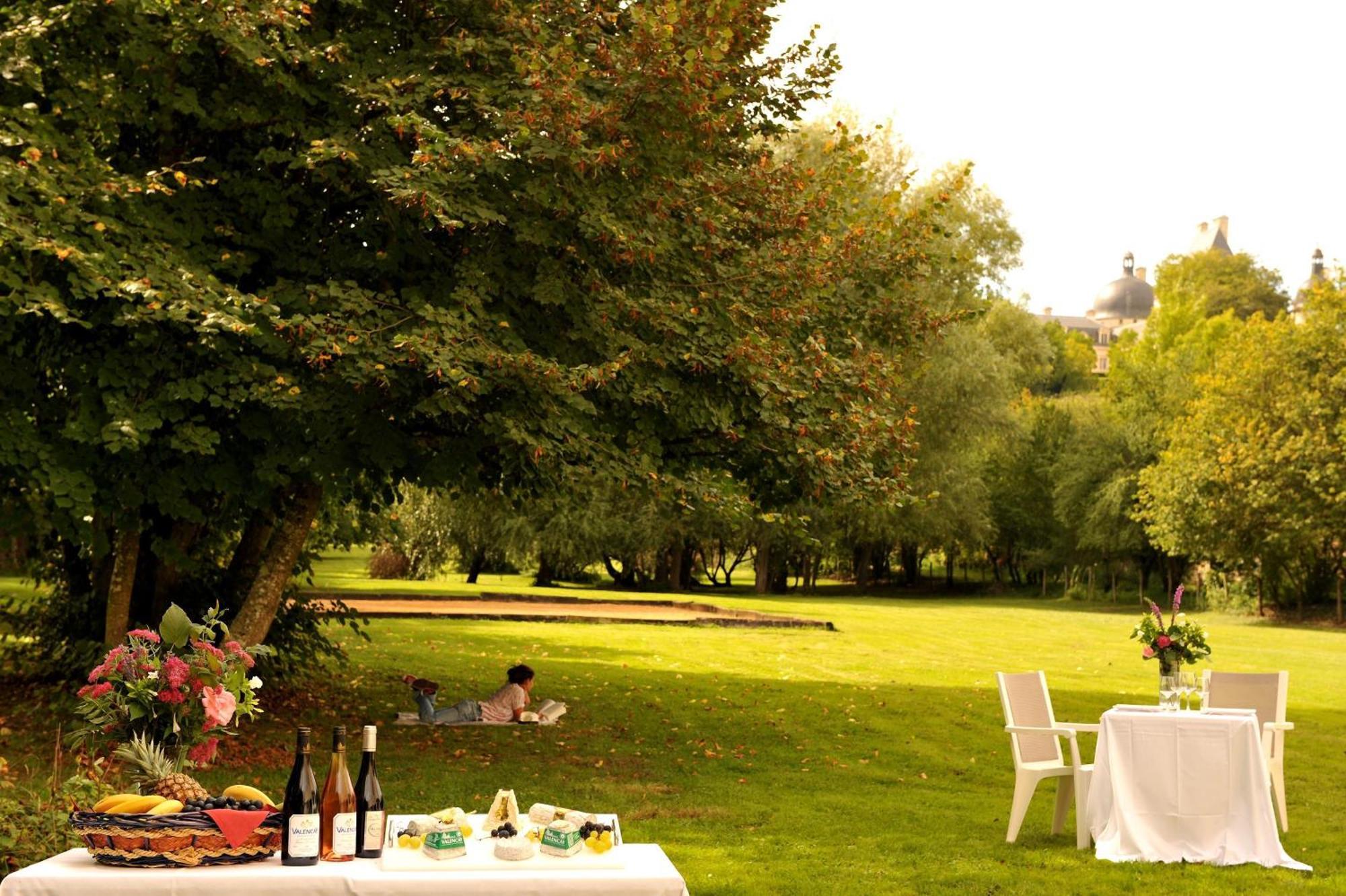 Logis Hotel Le Relais Du Moulin Valençay Exteriör bild